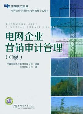 电网企业营销审计管理 pdf epub mobi 电子书 下载