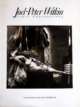 Joel-Peter Witkin pdf epub mobi 电子书 下载