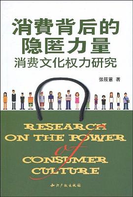 消费背后的隐匿力量 pdf epub mobi 电子书 下载