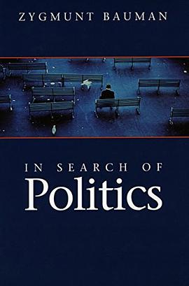 In Search of Politics pdf epub mobi 下载