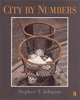 City by Numbers pdf epub mobi 下载