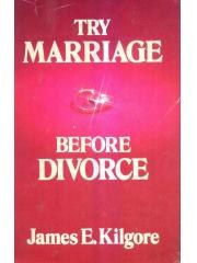 Try marriage before divorce pdf epub mobi 电子书 下载