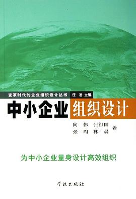 中小企業組織設計 pdf epub mobi 電子書 下載