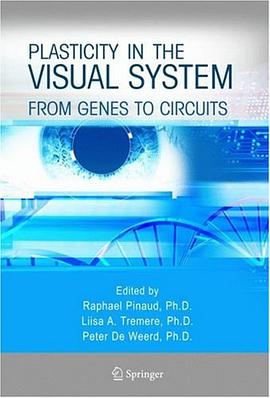 Plasticity in the Visual System pdf epub mobi 电子书 下载