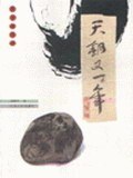天钥又一年 pdf epub mobi 电子书 下载