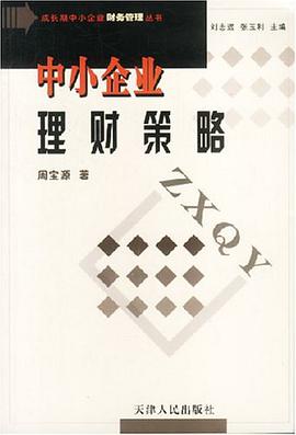 中小企业理财策略 pdf epub mobi 电子书 下载