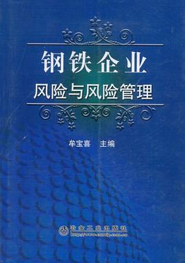 钢铁企业风险与风险管理 pdf epub mobi 电子书 下载