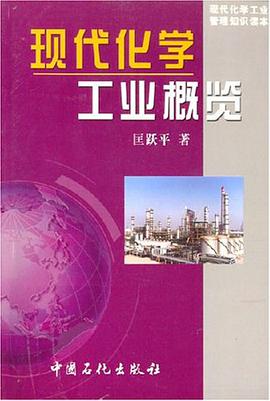 现代化学工业概览 pdf epub mobi 电子书 下载