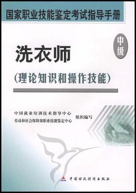 洗衣师 pdf epub mobi 电子书 下载