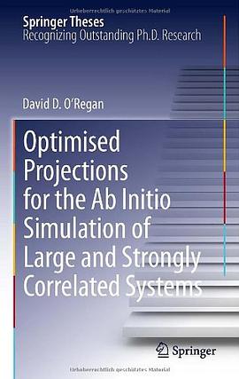 Optimised Projections for the AB Initio Simulation of Large and Strongly Correlated Systems pdf epub mobi 電子書 下載