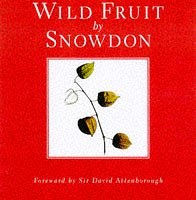 Wild Fruit pdf epub mobi 电子书 下载