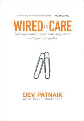 Wired to Care pdf epub mobi 电子书 下载
