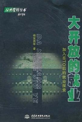 大开放的就业 pdf epub mobi 电子书 下载