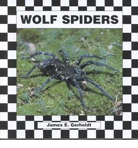 Wolf Spiders