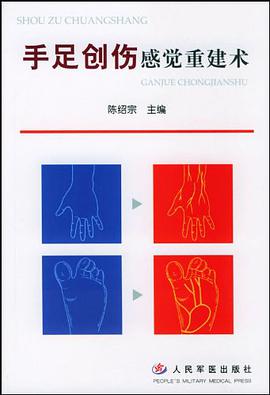 手足创伤感觉重建术 pdf epub mobi 电子书 下载