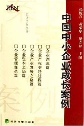 中国中小企业成长案例 pdf epub mobi 电子书 下载