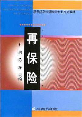 再保险 pdf epub mobi 电子书 下载