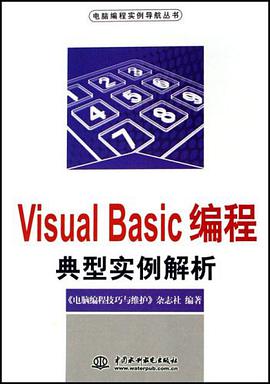 Visual Basic编程典型实例解析