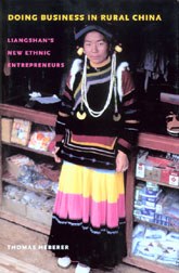 Doing Business in Rural China pdf epub mobi 電子書 下載