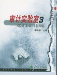 审计实验室3 pdf epub mobi 电子书 下载
