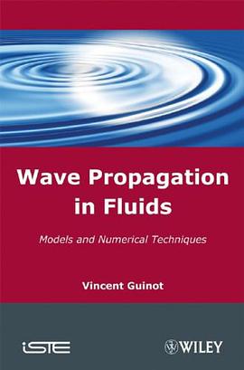 Wave Propagation in Fluids pdf epub mobi 电子书 下载