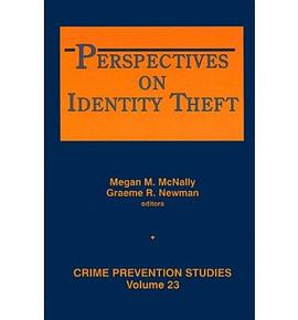 Perspectives On Identity Theft pdf epub mobi 电子书 下载