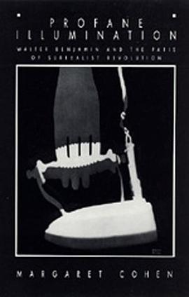 Profane Illumination pdf epub mobi 電子書 下載