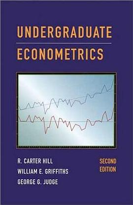 Undergraduate Econometrics pdf epub mobi 电子书 下载