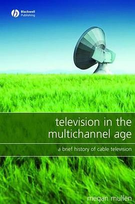 Television in the Multichannel Age pdf epub mobi 电子书 下载