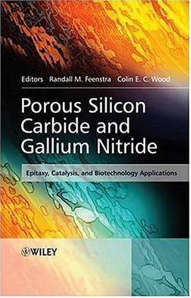 Porous Silicon Carbide and Gallium Nitride pdf epub mobi 电子书 下载