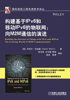 构建基于IPv6和移动IPv6的物联网：向M2M通信的演进 pdf epub mobi 电子书 下载