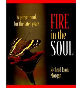 Fire in the Soul pdf epub mobi 電子書 下載