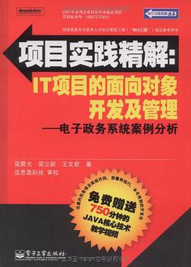 项目实践精解 pdf epub mobi 电子书 下载