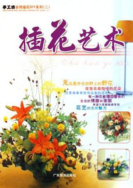 诗情花艺/手工坊实用插花DIY系列 pdf epub mobi 电子书 下载