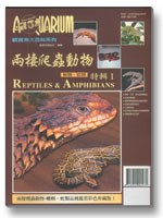 兩棲爬蟲動物 蜥蜴、蛇類特輯Ⅰ——观赏鱼大百科65 pdf epub mobi 电子书 下载