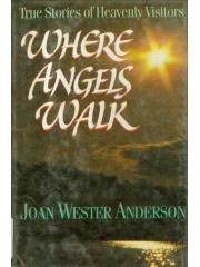 Where Angels Walk: True Stories of Heavenly Visitors pdf epub mobi 电子书 下载