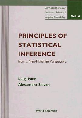 Principles of Statistical Inference from a Neo-Fisherian Perspective pdf epub mobi 电子书 下载
