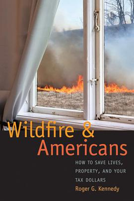 Wildfire and Americans pdf epub mobi 电子书 下载