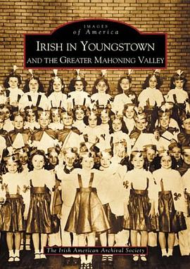 Irish in Youngstown and the Greater Mahoning Valley pdf epub mobi 电子书 下载