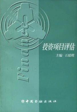 投资项目评估 pdf epub mobi 下载