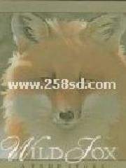 Wild Fox: A True Story pdf epub mobi 电子书 下载