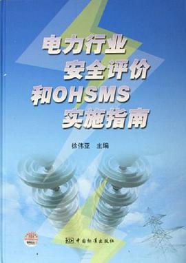 电力行业安全评价和OHSMS实施指南 pdf epub mobi 电子书 下载