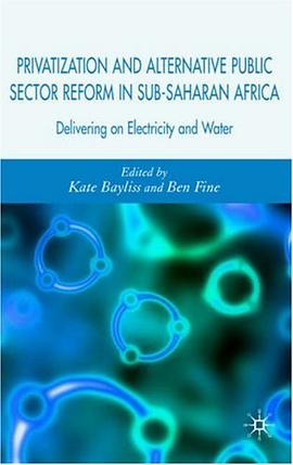 Privatization and Alternative Public Sector Reform in Sub-Saharan Africa pdf epub mobi 电子书 下载