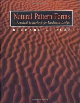 Natural Pattern Forms pdf epub mobi 电子书 下载