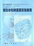 微注射和转基因实验指南 pdf epub mobi 电子书 下载