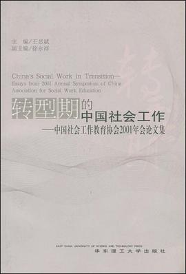 转型期的中国社会工作
