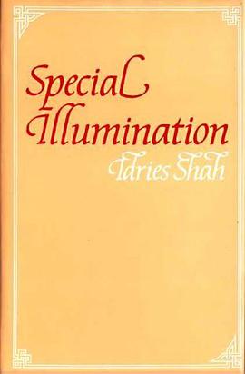 Special Illumination pdf epub mobi 下载