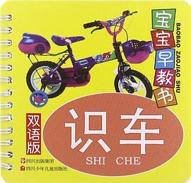 识车 pdf epub mobi 电子书 下载