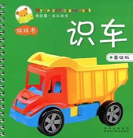 识车 pdf epub mobi 电子书 下载