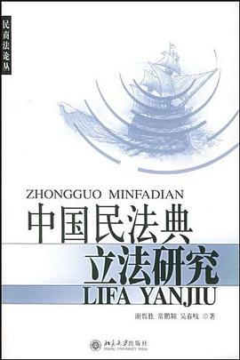 中国民法典立法研究 pdf epub mobi 电子书 下载